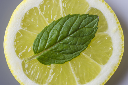 Citrus and Mintの写真素材