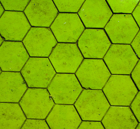 Hexagonal green groundの写真素材