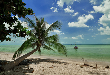 Tropical beach boat and palm - Ko Samui Thailand
