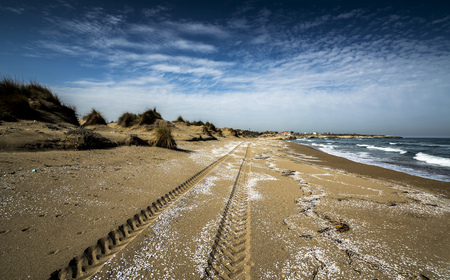 Tracks on the beach - Kefken / Turkeyの写真素材