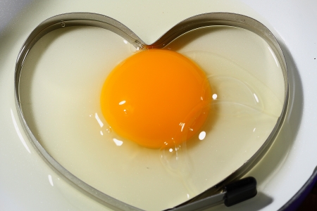 egg yolkの写真素材