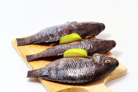 fresh water fishes on cutting board, white background