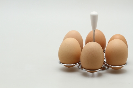 eggsの写真素材