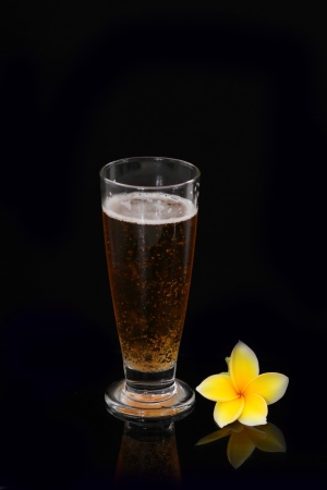 glass of beer, isolated on blackの写真素材