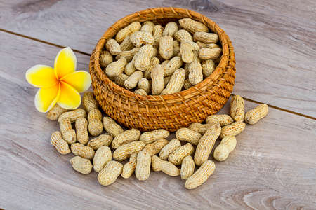 peanutの写真素材