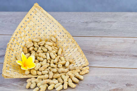 peanutの写真素材