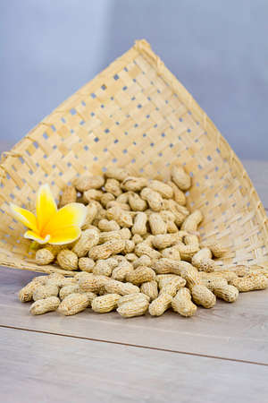 peanutの写真素材