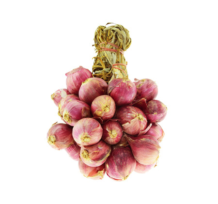 Shallot onions in a group isolated on white background.の写真素材