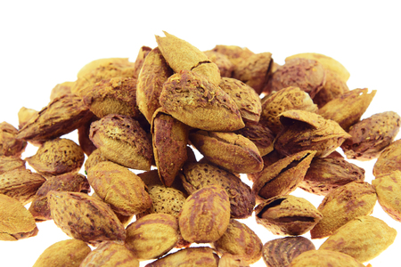 Almond in shell roast sugar isolated on white backgroundの写真素材