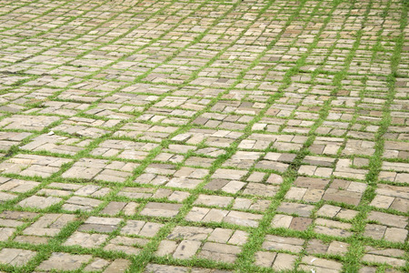 walkway with grass growing between the stones.の写真素材