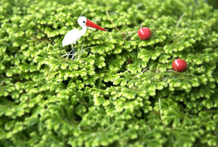 egret statue on green plantの写真素材