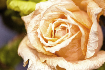 flower artificial from mulberry paper  for backgroundの写真素材