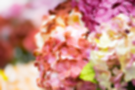 Abstract blurred flower with defocused light bokehの写真素材