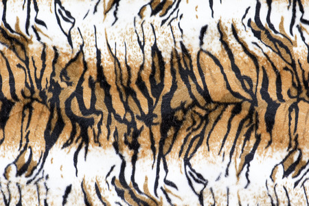 texture of print fabric stripes Tiger for backgroundの写真素材
