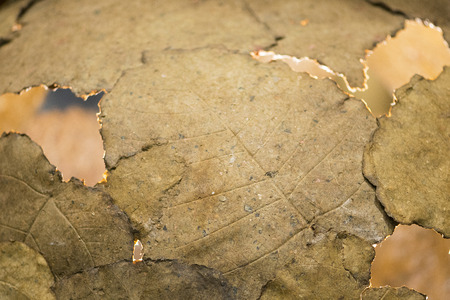 Abstract background,clay texture, environment backgroundの写真素材