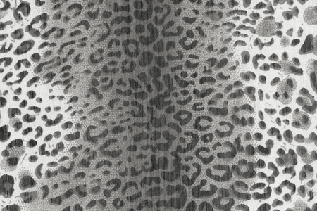 texture of print fabric stripes leopard for backgroundの写真素材