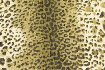 texture of print fabric stripes leopard for backgroundの写真素材