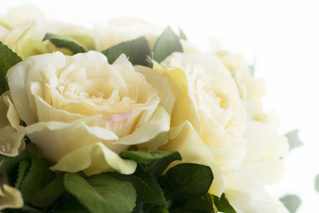 White Rose flower artificial for backgroundの写真素材