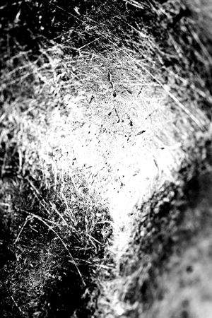 Grunge Black and White Distress Texture . Scratch Texture . Dirty Texture .Background .の写真素材