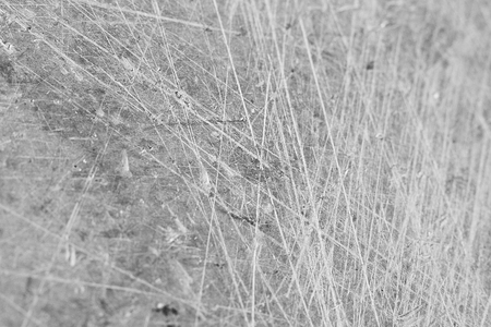grunge metal texture backgroundの写真素材