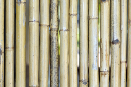 bamboo fence backgroundの写真素材