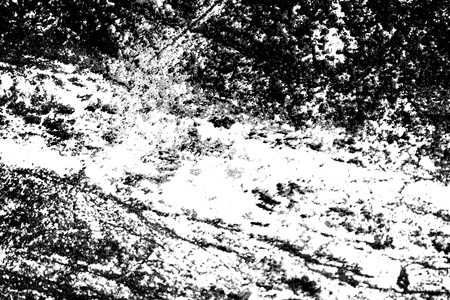 Grunge Black and White Distress Texture . Scratch Texture . Dirty Texture .Background .の写真素材