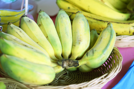 Cultivated banana in basket. bananaの写真素材