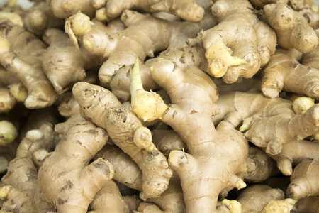 Fresh gingers as the backgroundの写真素材