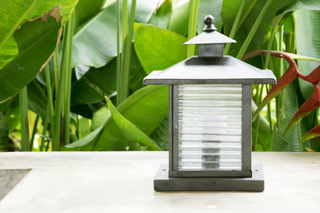 Light in the gardenの写真素材