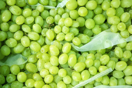 Green grapes for sale at a marketの写真素材