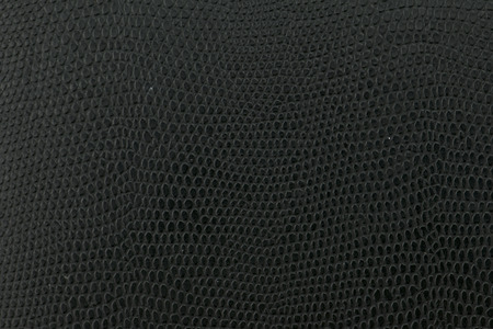 Black snake Leather background texture