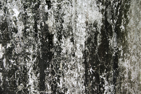 Grunge Black texture. dark background. Blank for design.の写真素材