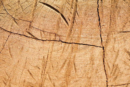 dark wood texture table top view. Grunge surface with wood texture background. の写真素材
