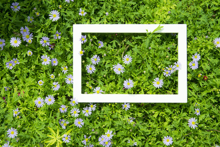 Creative layout made of flowers and leaves with White frame. Top view. Nature concept