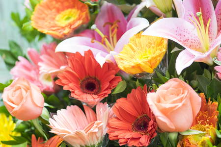 colorful flowers backgroundの写真素材