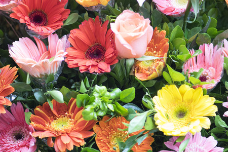 colorful flowers backgroundの写真素材