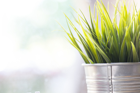 Fake grass  In the iron pot for backgroundの写真素材