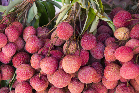 Fresh lychees in market.の写真素材