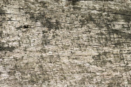 dirty wood texture, Old wood background.の写真素材
