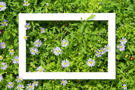 Creative layout made of flowers and leaves with White frame. Top view. Nature conceptの写真素材