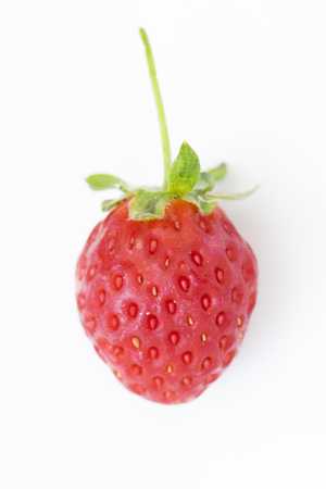 single Strawberry isolated on a white backgroundの写真素材