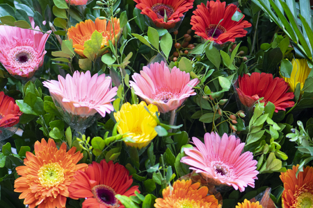 colorful flowers In the market backgroundの写真素材