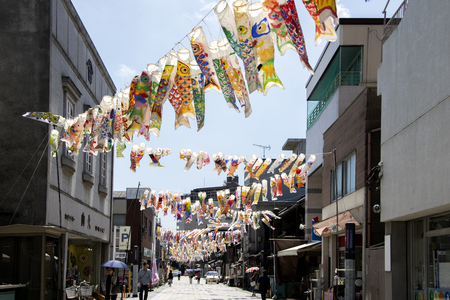 Japanese Koi Nobori carp hanging. Koi fish flag in Kawagoe Japan.のeditorial素材