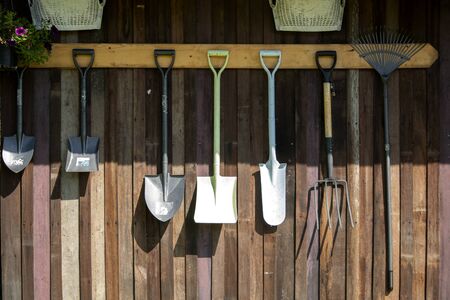 Gardening tools hang on Wooden wall, tool conceptの写真素材