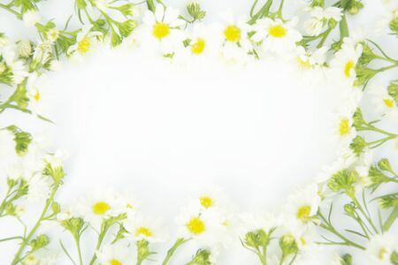 Flowers composition. Border made of daisy white flowers. Flat lay, top viewの写真素材