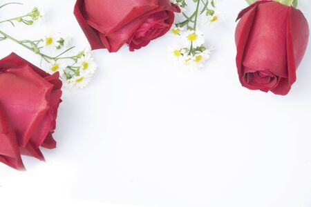red rose and composition flowers. Border flowers. Flat lay, top viewの写真素材