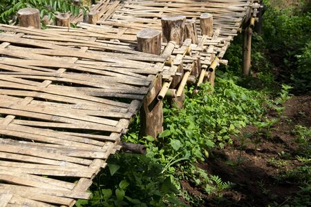 Bamboo bridge walking way, garden pathwayの写真素材