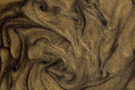 Golden glitter dust on dark background.の写真素材