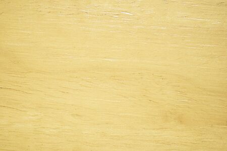 texture of Wood nature background.の写真素材
