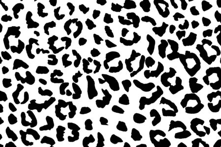 Black and White leopard skin pattern for backgroundの写真素材